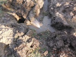 150325_barn 03.jpg