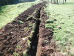 150421_barn 03.jpg