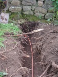 140520_barn_12.jpg