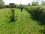 150520_barn 02.jpg