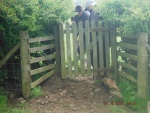 150520_barn 03.jpg