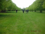 150520_barn 06.jpg