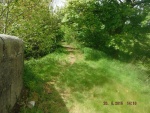 150520_barn 09.jpg