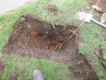 150604_barn 09.jpg