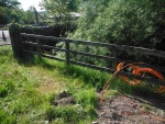 150604_barn 02.jpg
