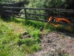 150604_barn 03.jpg