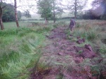 150617_barn 08.jpg