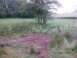 150617_barn 07.jpg
