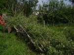 140520_barn_17.jpg