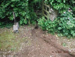 150623_barn 06.jpg