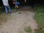 150624_barn 08.jpg