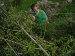 140520_barn_18.jpg