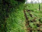 150624_barn 04.jpg