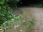 150624_barn 05.jpg