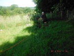 150630_barn 02.jpg