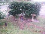 150707_barn 05.jpg