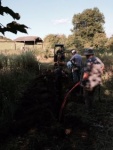 140701_barn_ph 03.jpg