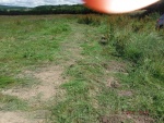 140708_barn_ph 04.jpg