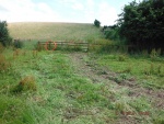 140708_barn_ph 05.jpg