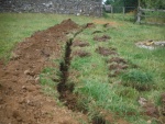 140709_barn_ph 04.jpg