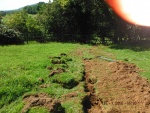 140715_barn_greenwood 05.jpg