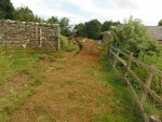 140715_barn_greenwood 09.jpg