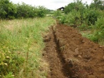 140716_barn_ph 02.jpg