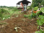 140716_barn_ph 04.jpg