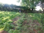 140722_barn_ph 01.jpg