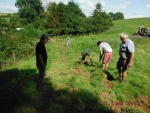 140722_barn_ph 10.jpg
