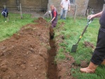 140729_barn_ph 11.jpg