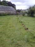 140729_barn_ph_gb_st 04.jpg