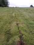 140729_barn_ph_gb_st 13.jpg