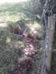 140812_barn 18.jpg