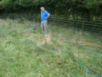 140902_barn 08.jpg
