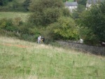 140902_barn 14.jpg