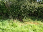 140902_barn 19.jpg