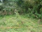 140903_barn 02.jpg