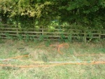 140903_barn 10.jpg