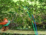 140903_barn 11.jpg