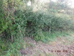 140910_barn 01.jpg