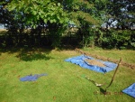 140917_barn_adams 03.jpg