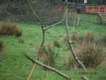 140408_barn_07.jpg