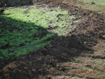140409_barn_05.jpg