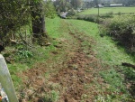 140416_barn_14.jpg
