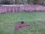 140430_barn_13.jpg