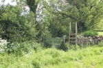120604_jubilee 001.jpg