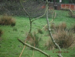 140408_barn_07.jpg