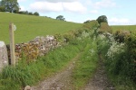 120604_jubilee 007.jpg