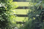 120604_jubilee 008.jpg
